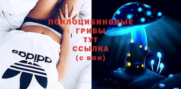 эйфоретик Алзамай