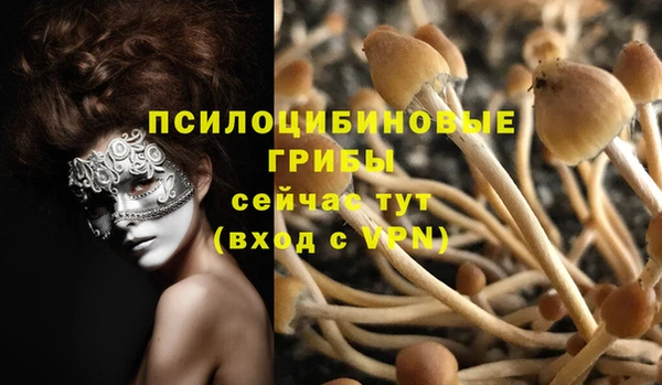 эйфоретик Алзамай