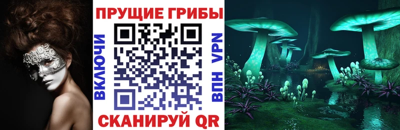 Псилоцибиновые грибы Cubensis  наркота  Сасово 